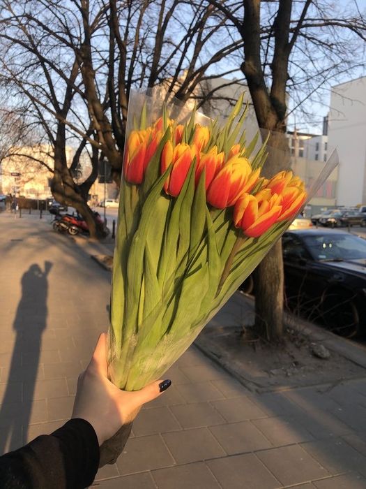 Тюльпаны Алматы свежая поставка