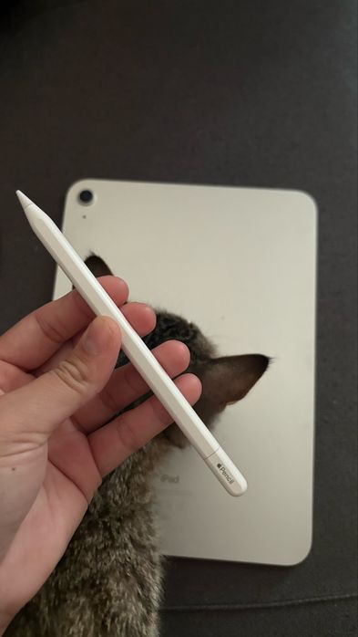 Ipad 10 поколения