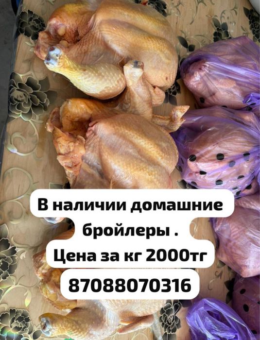 Домашние бройлеры