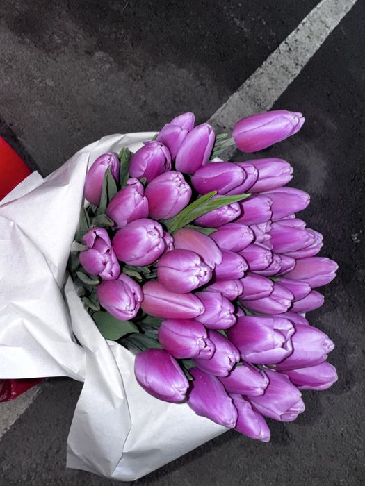 Тюльпаны опт и розница