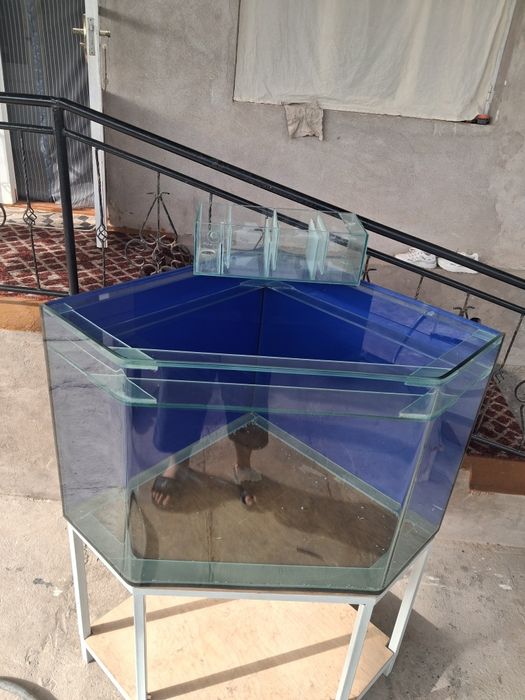 Akvarium sotiladi 300 litr 1 sm qalinlikda