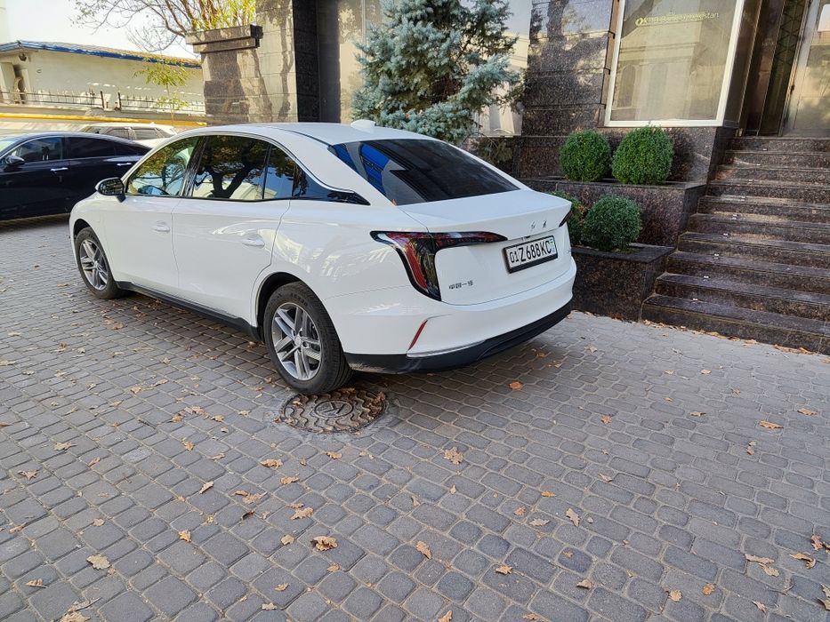 Услуги по пассажирским перевозкам  Hongqi eqm5