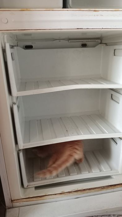 Продам холодильник Indesit