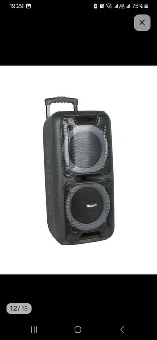 Колонка eltronic