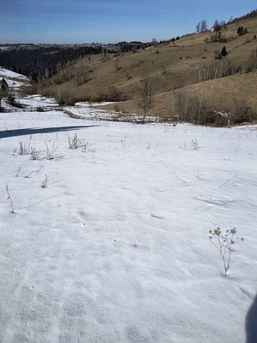 Vând teren în Măguri!