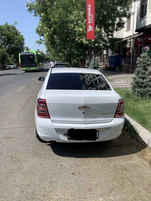 Coblt LTZ avtamat 2025
