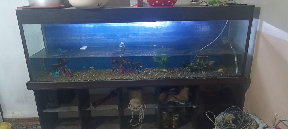 Akvarum sirochna sotiladi