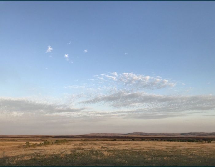 Кой сатылады, Продается Бараны