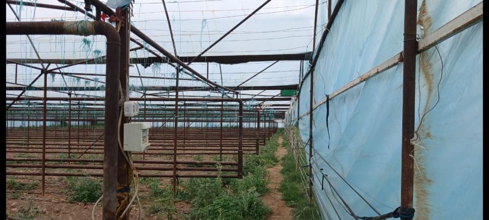 Теплица 32 соток