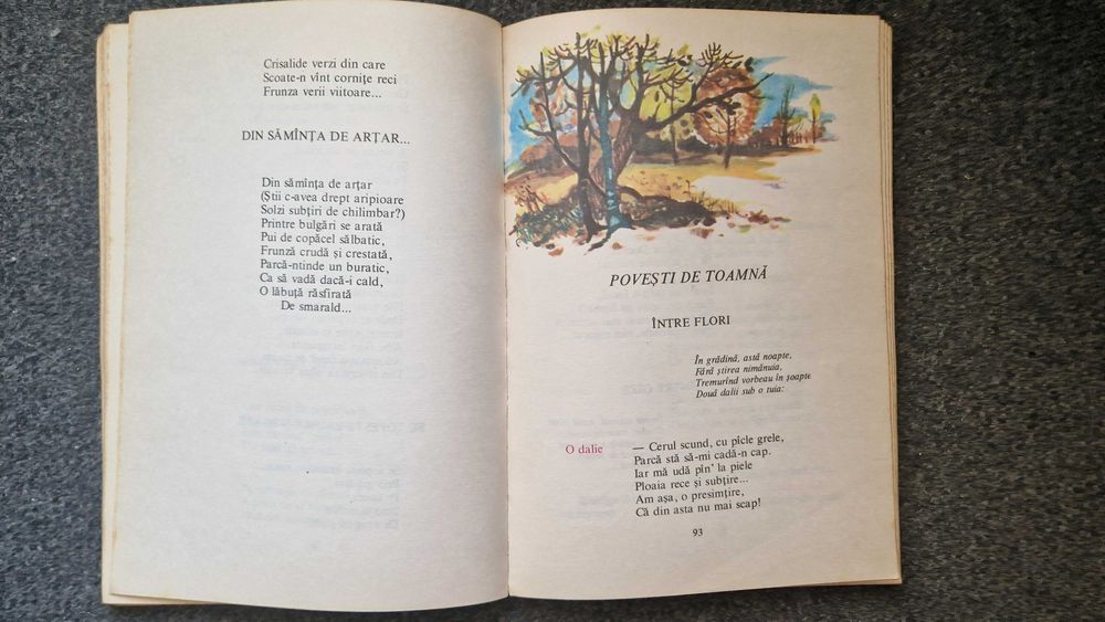 BABA IARNA INTRA-N SAT - Otilia Cazimir 1985