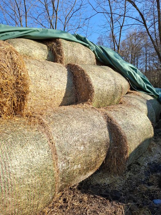 Baloți de paie rotunzi înveliți cu plasă