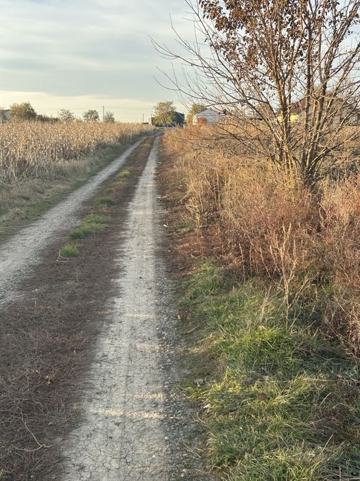 Teren intravilan 1000mp Catamarasti-Deal