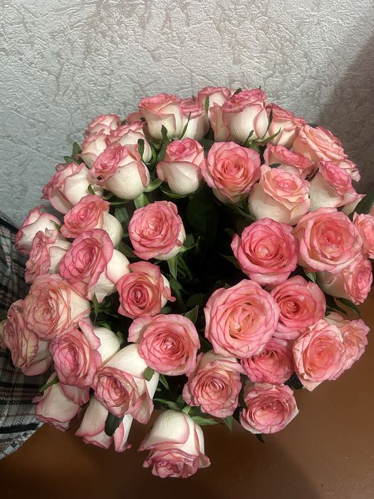 Продается 51 шт розы