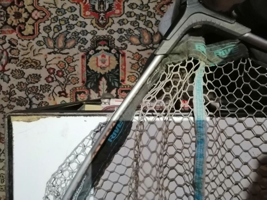 Кеп глава, гумирана, шаранджийска