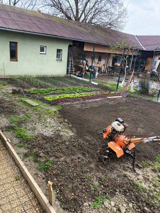 Amenajări peisagistice, gazon, pregătire teren