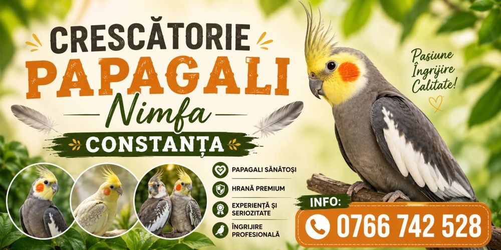 Vand papagali nimfa