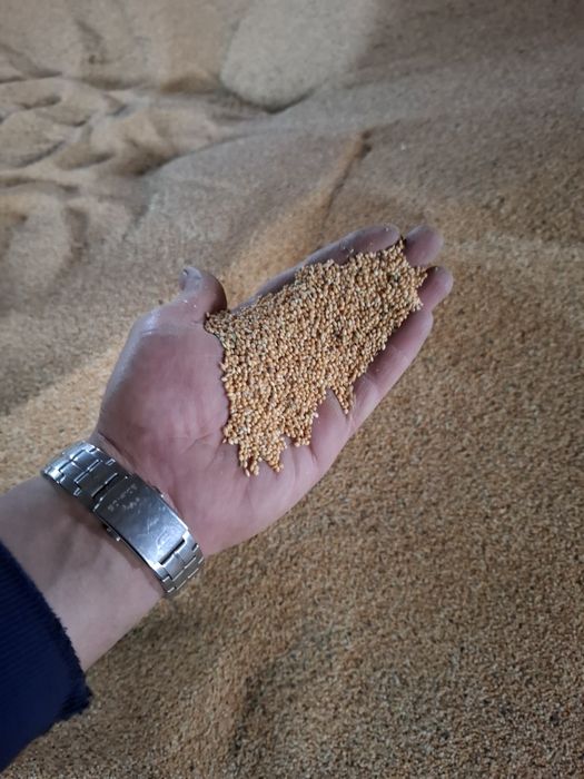 Продавам ОВЕС, просо