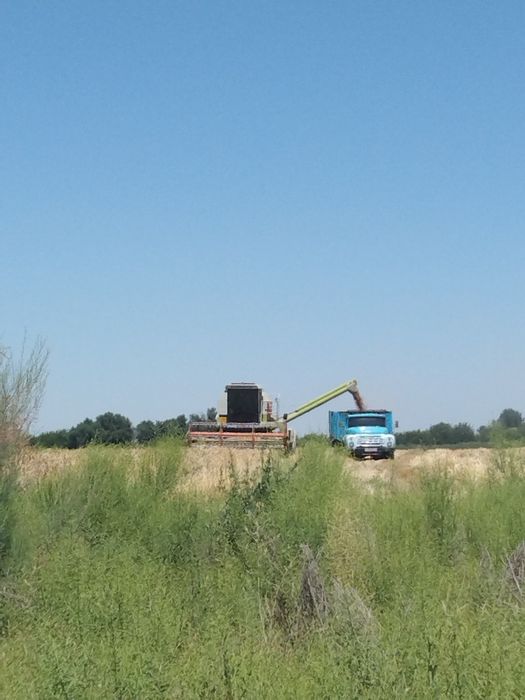 Zil 130 xolati alo ishlashi zur