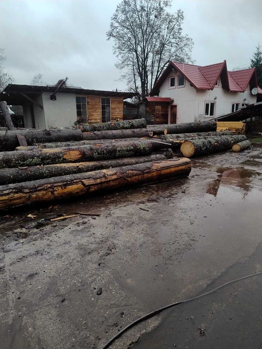 Firma prelucrare lemn situata in comuna Provita de Jos