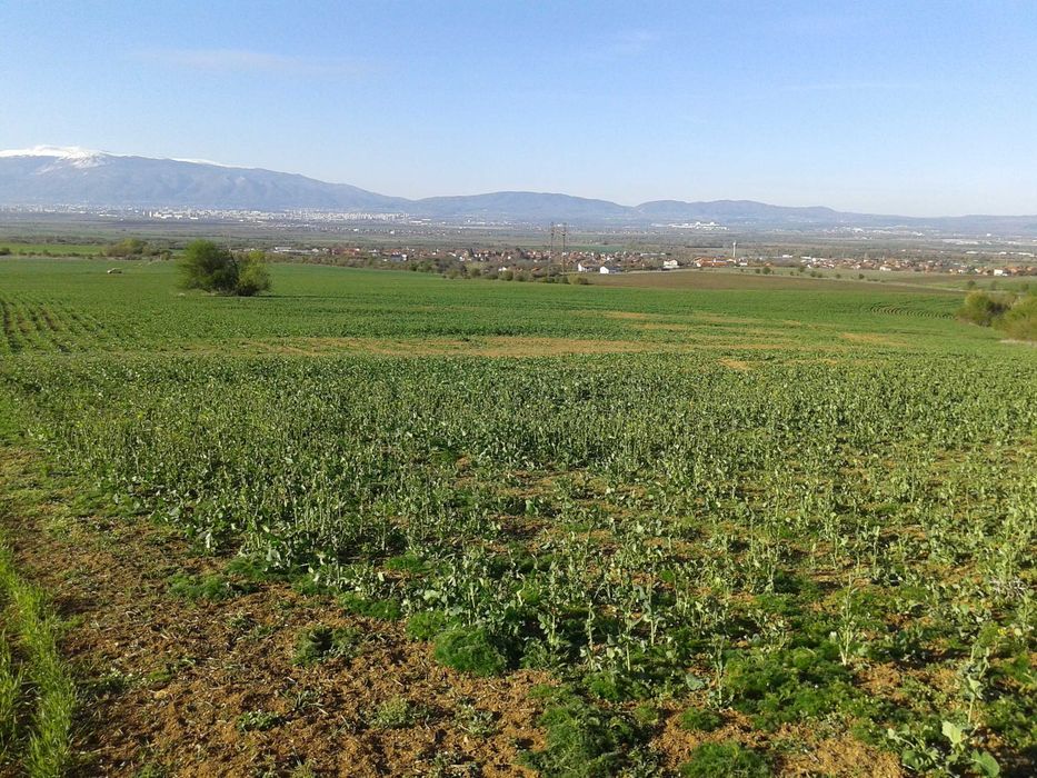 Дава се под наем Парцел в София, Връбница 1 - 1400 кв.м за 239.19 € - Снимка #1