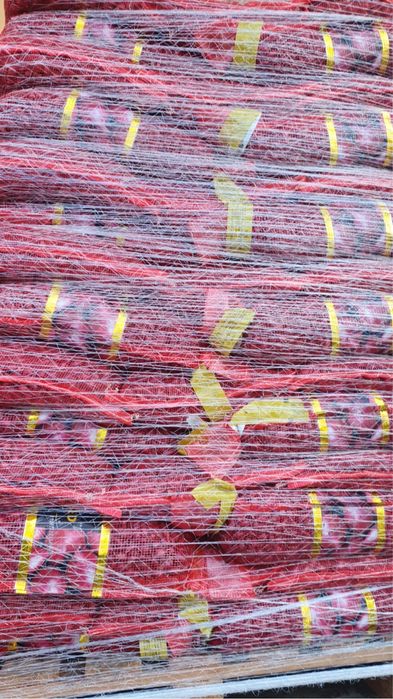 Vand Arpagic Stuttgarter