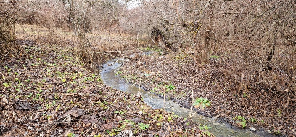 Продава се Парцел в с. Горна Козница, Област Кюстендил - 1485 кв.м за 5 €/кв.м - Снимка #5