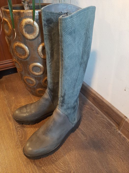 Gabina ботуши нови