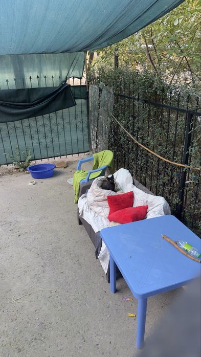 Котенок девочка в добрые руки