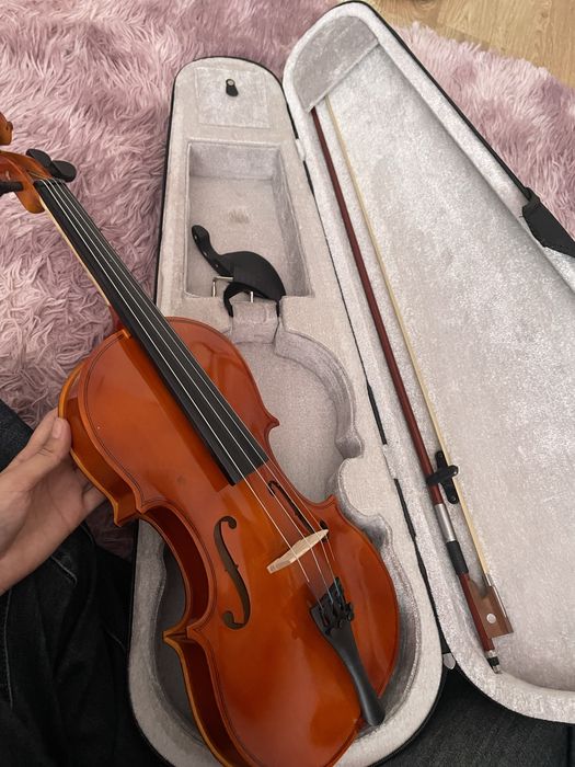 Скрипка (новый)1