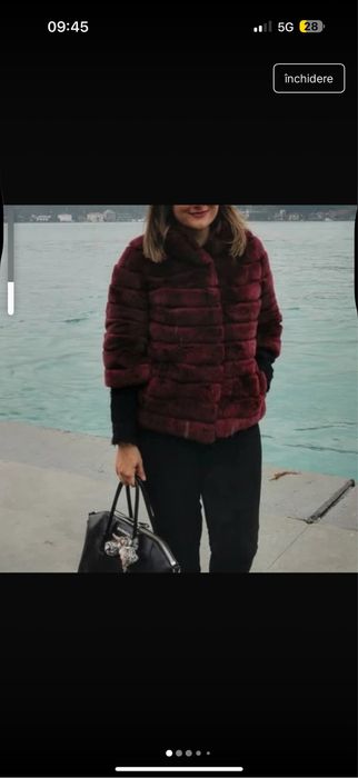 Haina de Blana iepure