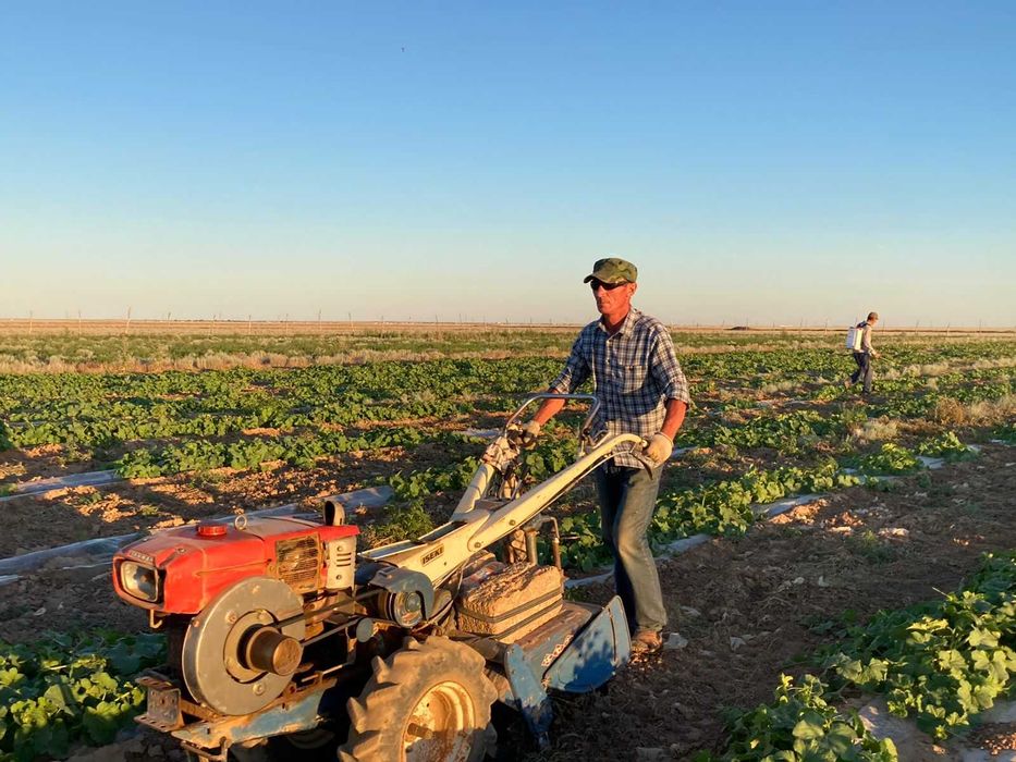 Японский Мотоблок