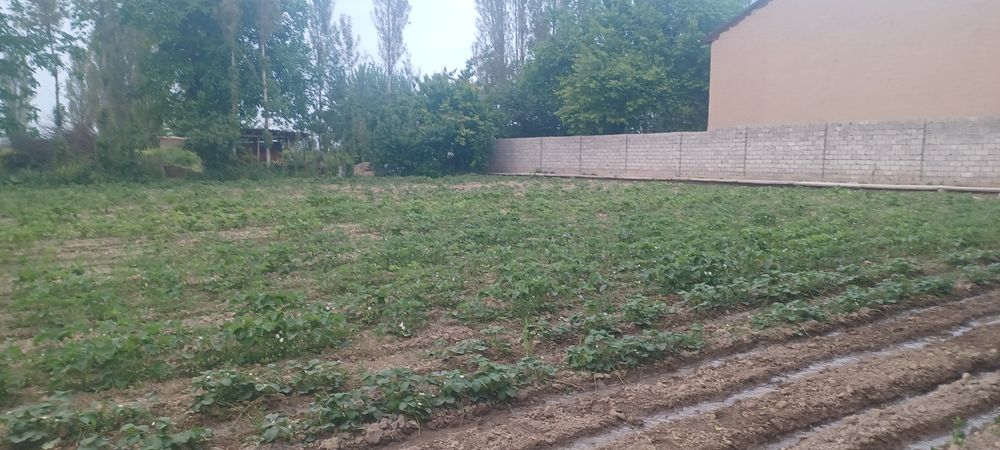 Uy joy sotiladi 22 sotih