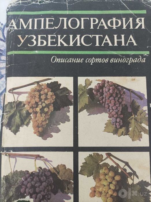 Книга Ампелография Узбекистана