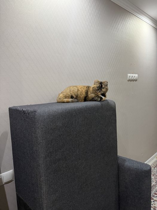 Диван IKEA отдам