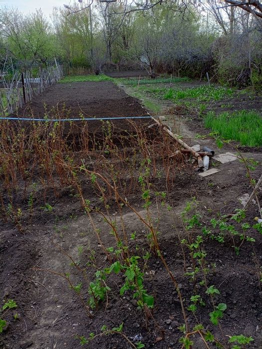 Продам дачу в кооперативе АЗФ7