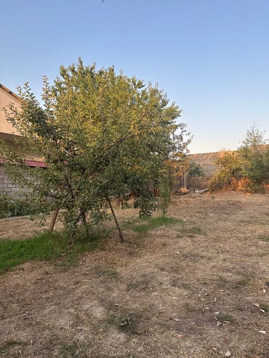 Дача Паркентский район (Навбахор)