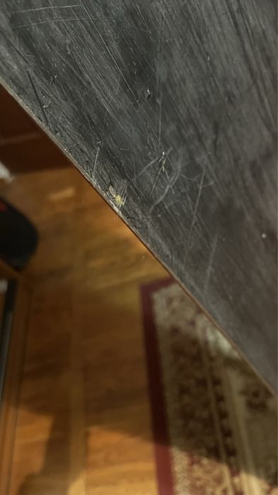 Сноуборд K2 JoyDriver 159