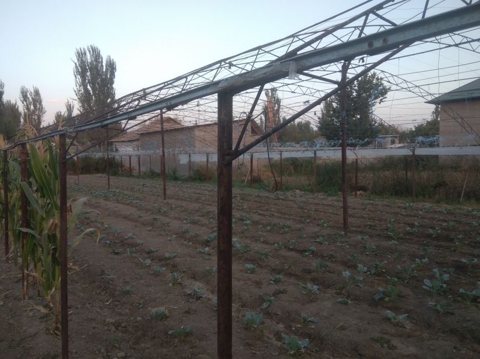 Теплица иссикхона