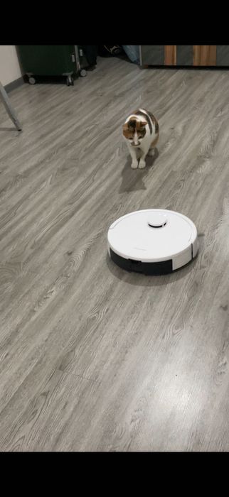 Робот-пылесос Dreame Trouver E20 Pro