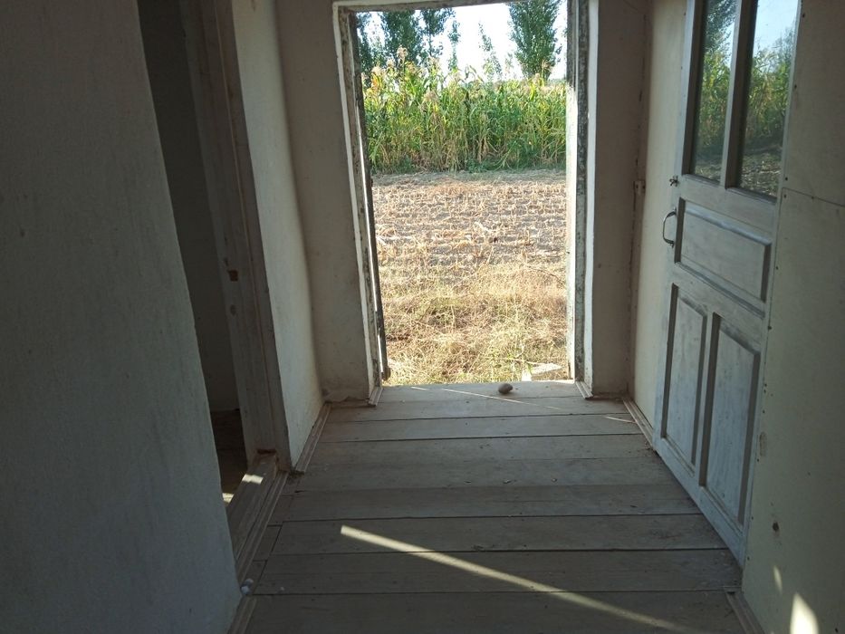 3 хонали 16 сотихли учаска