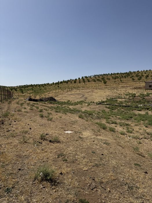 Сдается земля под ферму в аренду