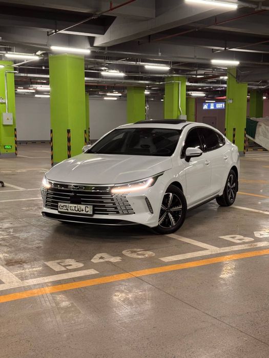 Byd chazor 2024 Yil 2 pozitsiya