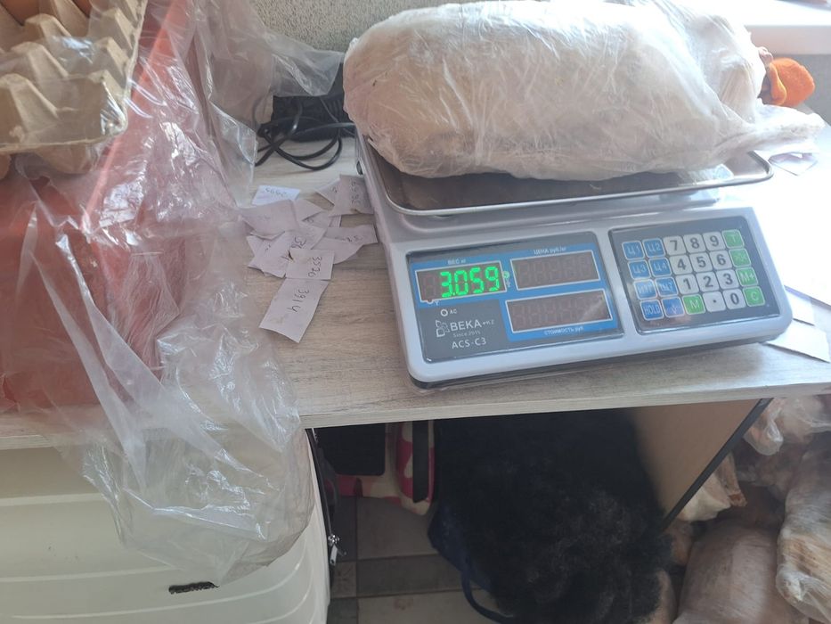 Продам домашних гусей