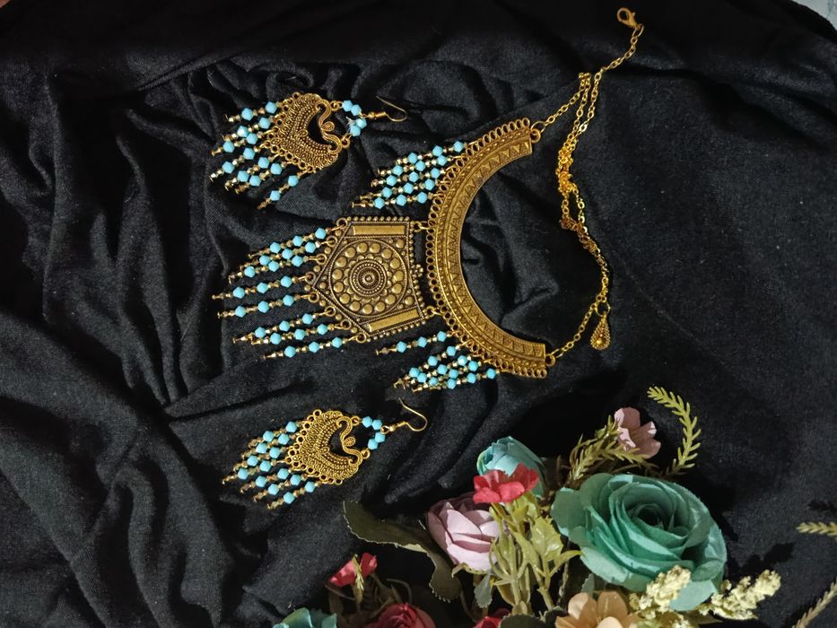 Zebigardon ziragi bn