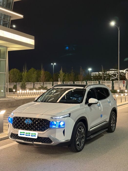 Hyundai Santafee 2.5 full