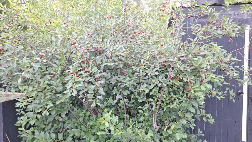 Продажа 2-комнатной квартиры