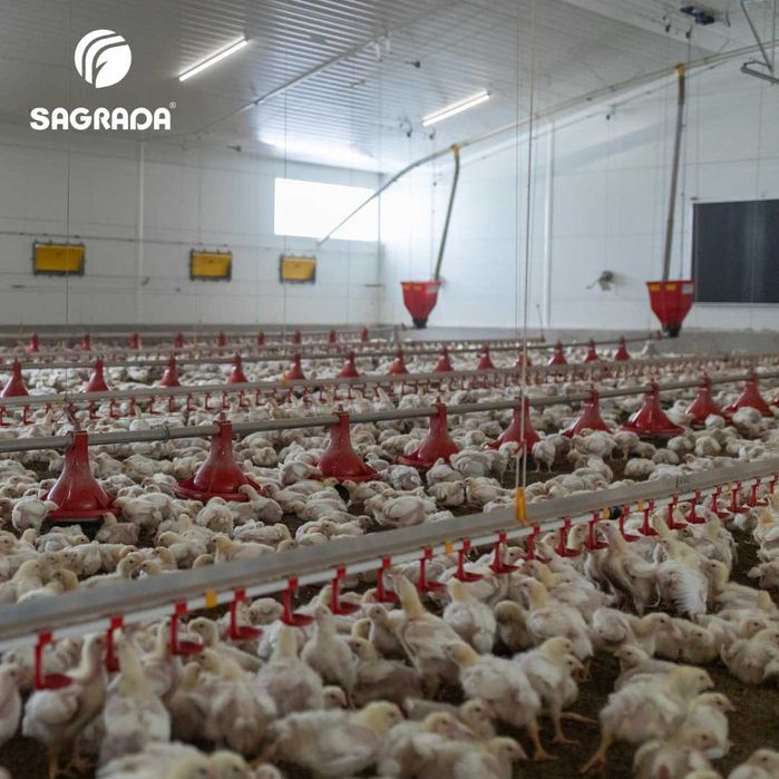 Оборудование для бройлеров SAGRADA