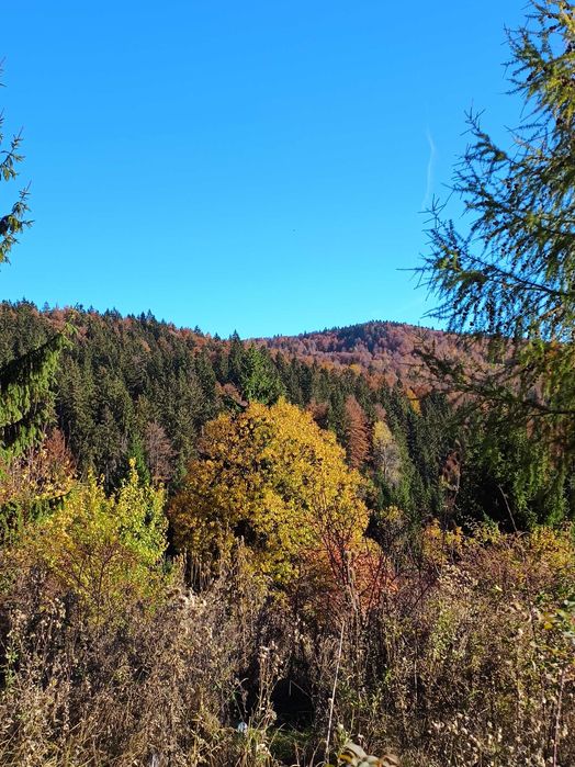 Teren la munte intre Breaza si Sinaia