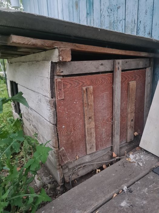 Будка для собаки бесплатно