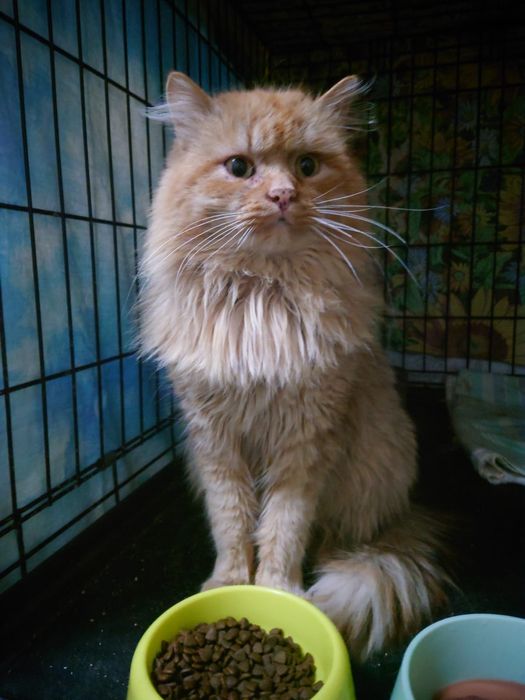 В самые добрые ручки